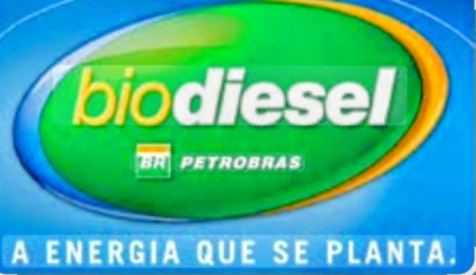 Logo Biodiesel Petrobras — cliente atendido pela Desentupidora Gota D'água