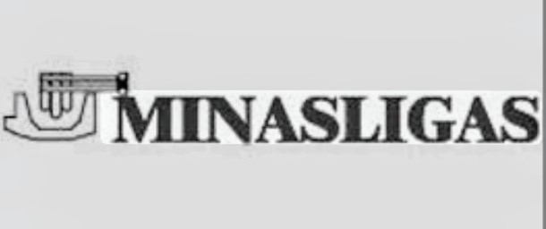 Logo Minasligas — cliente atendido pela Desentupidora Gota D'água